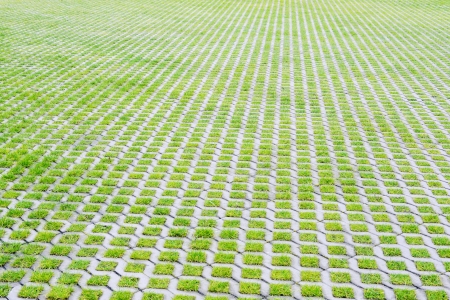 Permeable Pavers